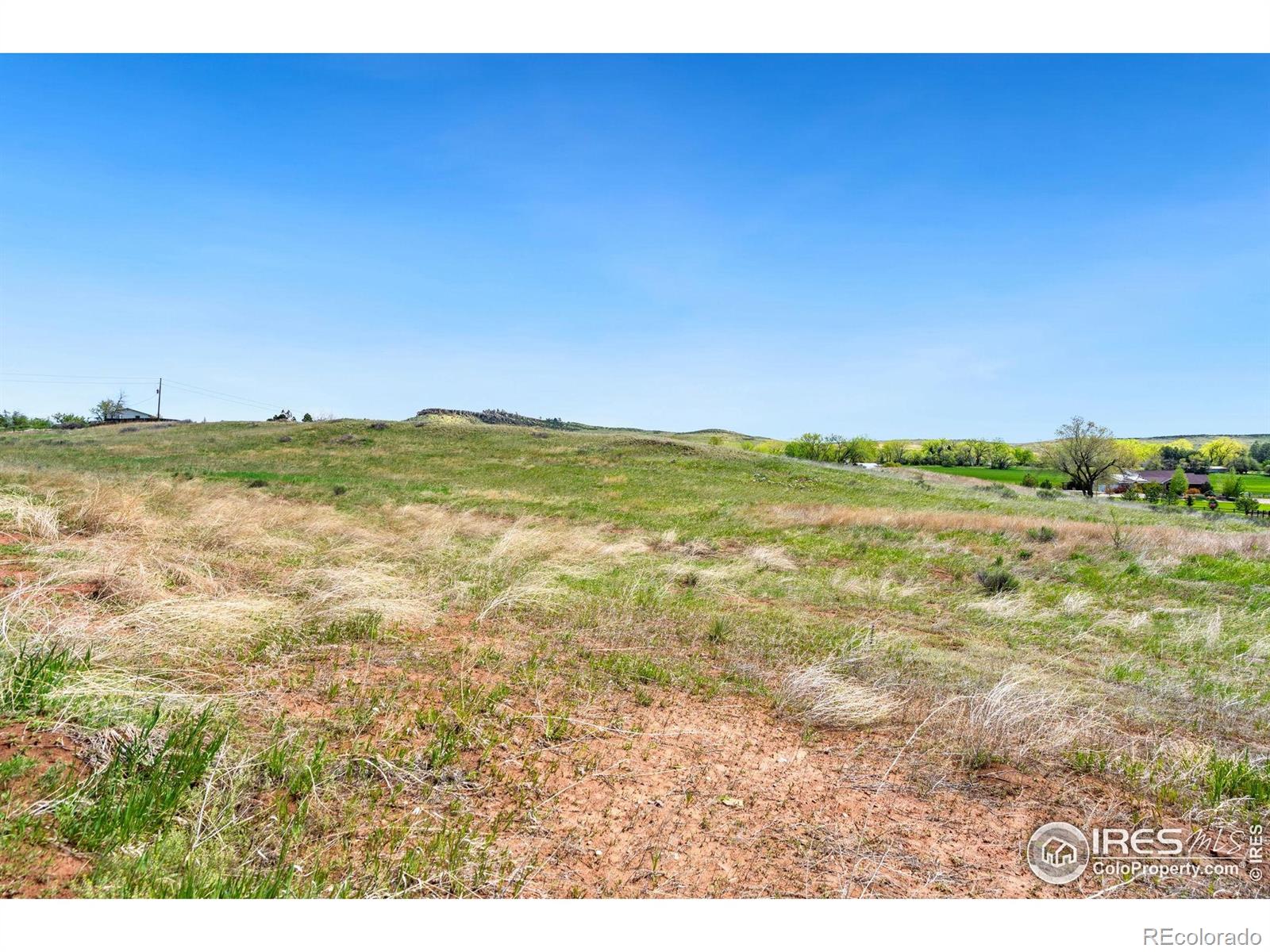 4442 Del Colina Way Laporte CO 80535