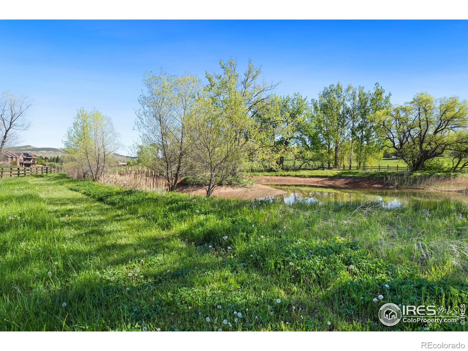 4442 Del Colina Way Laporte CO 80535