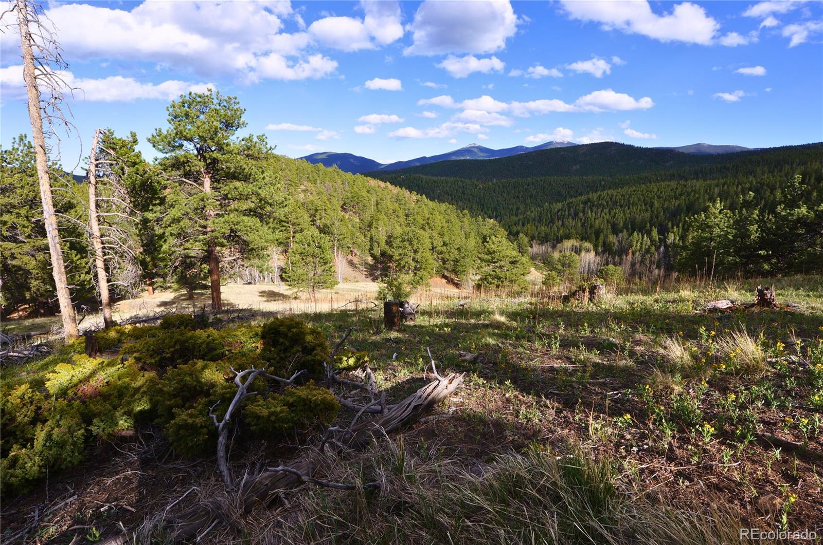 000 Turkey Gulch Road Idaho Springs CO 80452