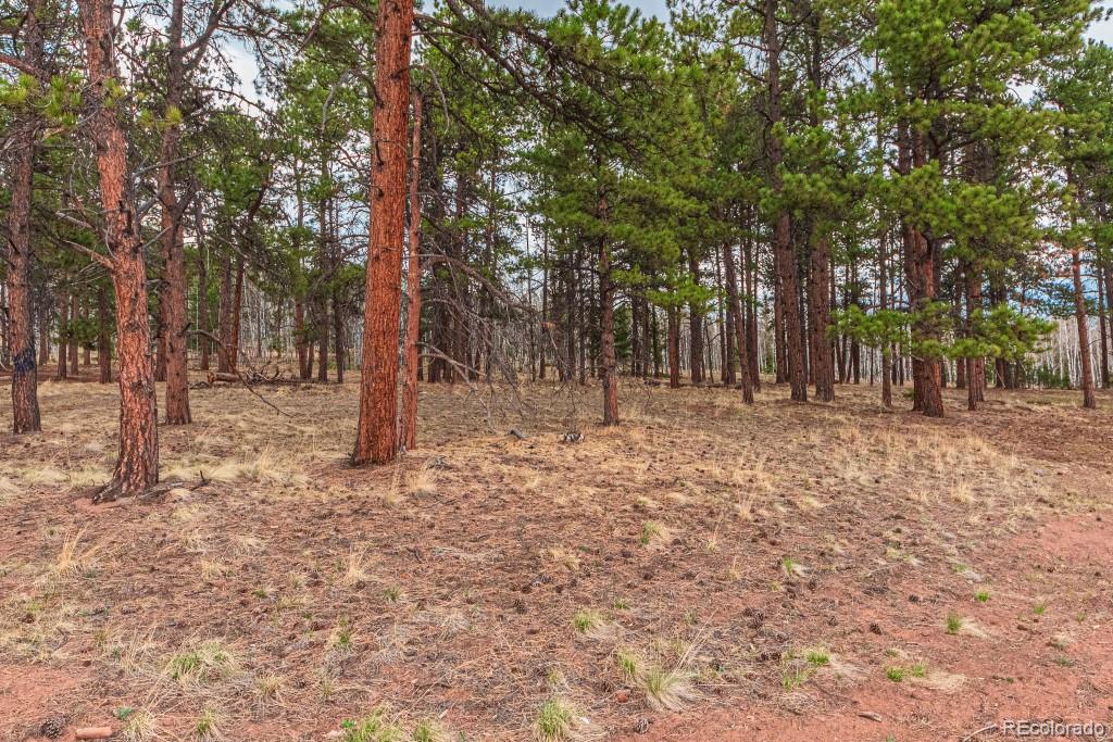 1290 Firestone Drive Woodland Park CO 80863