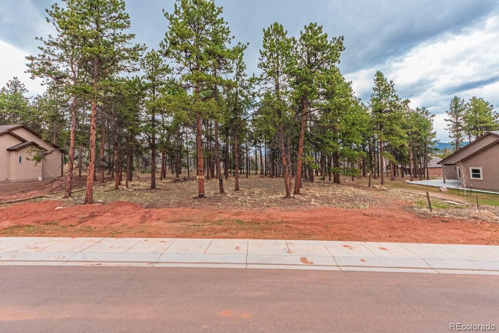 1290 Firestone Drive Woodland Park CO 80863