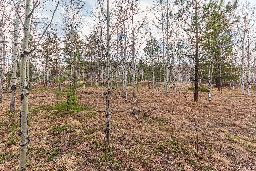 1290 Firestone Drive Woodland Park CO 80863