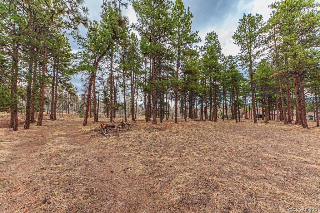 1290 Firestone Drive Woodland Park CO 80863