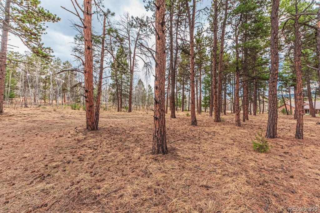 1290 Firestone Drive Woodland Park CO 80863
