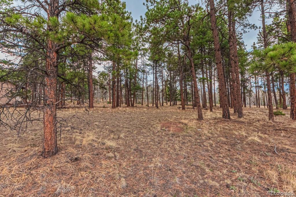 1290 Firestone Drive Woodland Park CO 80863