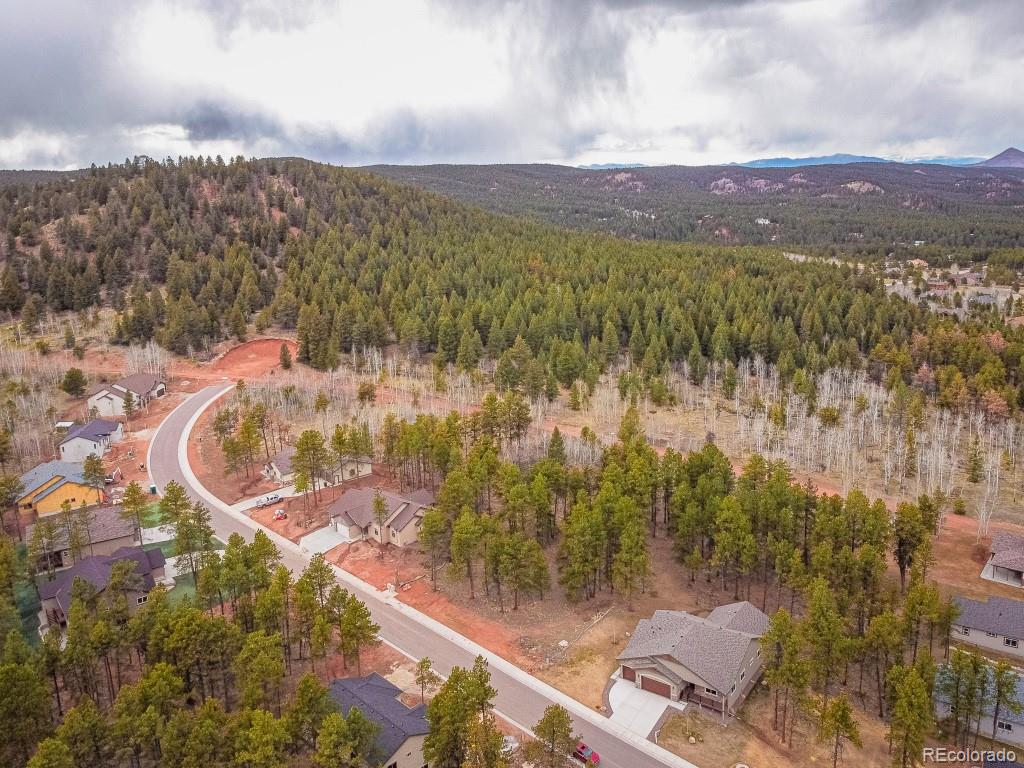 1290 Firestone Drive Woodland Park CO 80863