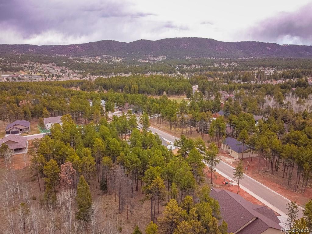 1290 Firestone Drive Woodland Park CO 80863