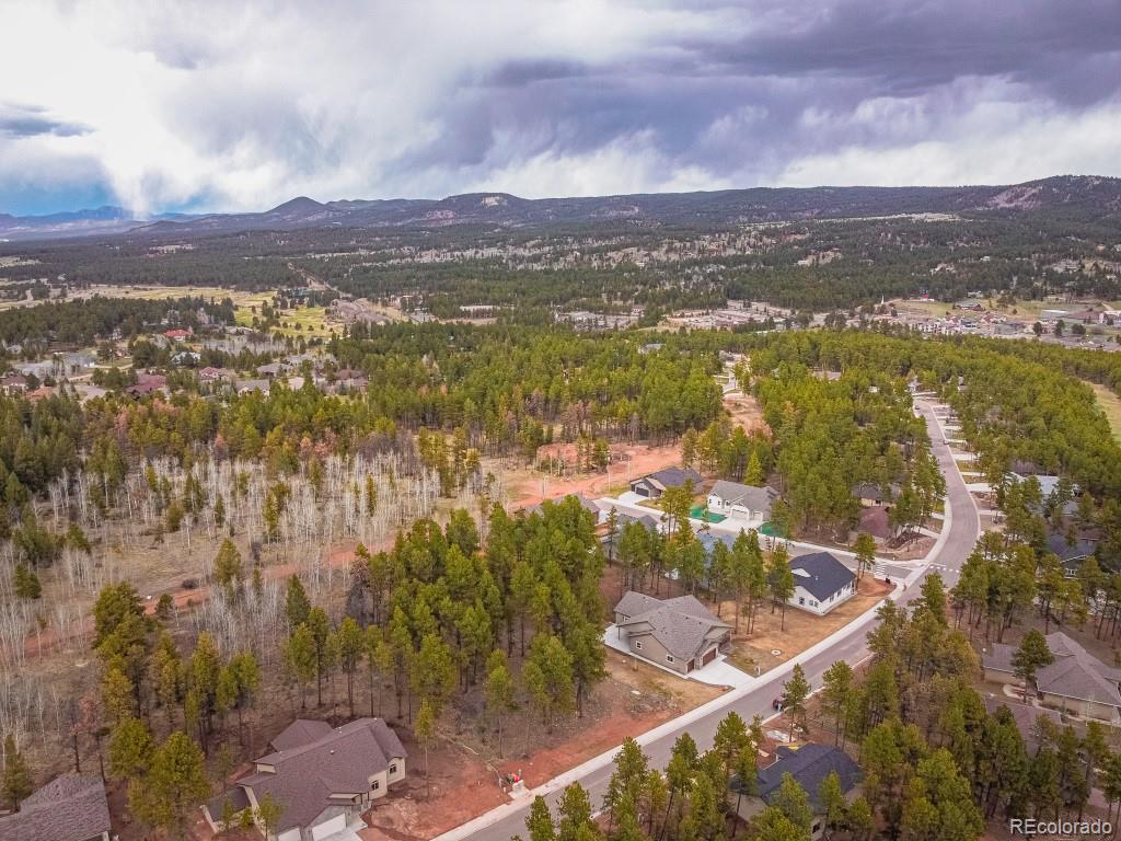 1290 Firestone Drive Woodland Park CO 80863