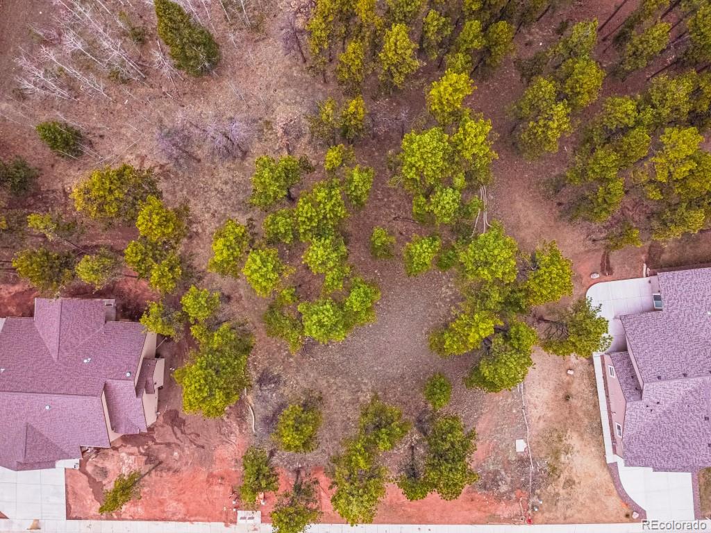 1290 Firestone Drive Woodland Park CO 80863