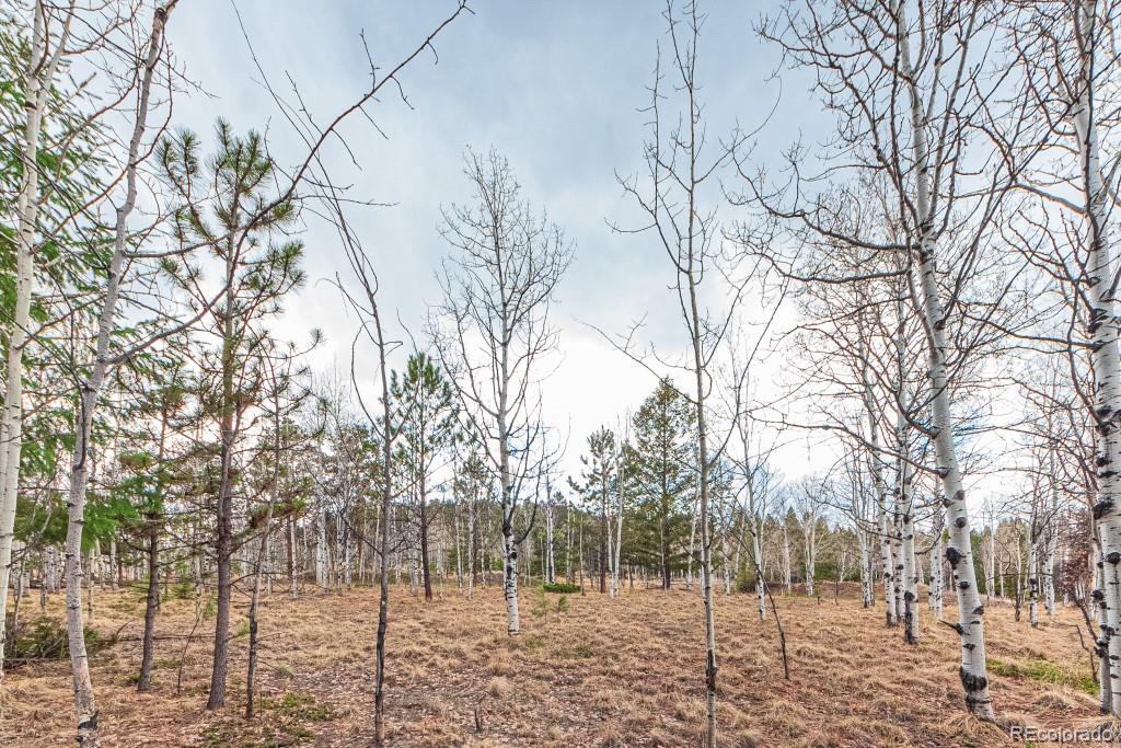 1290 Firestone Drive Woodland Park CO 80863