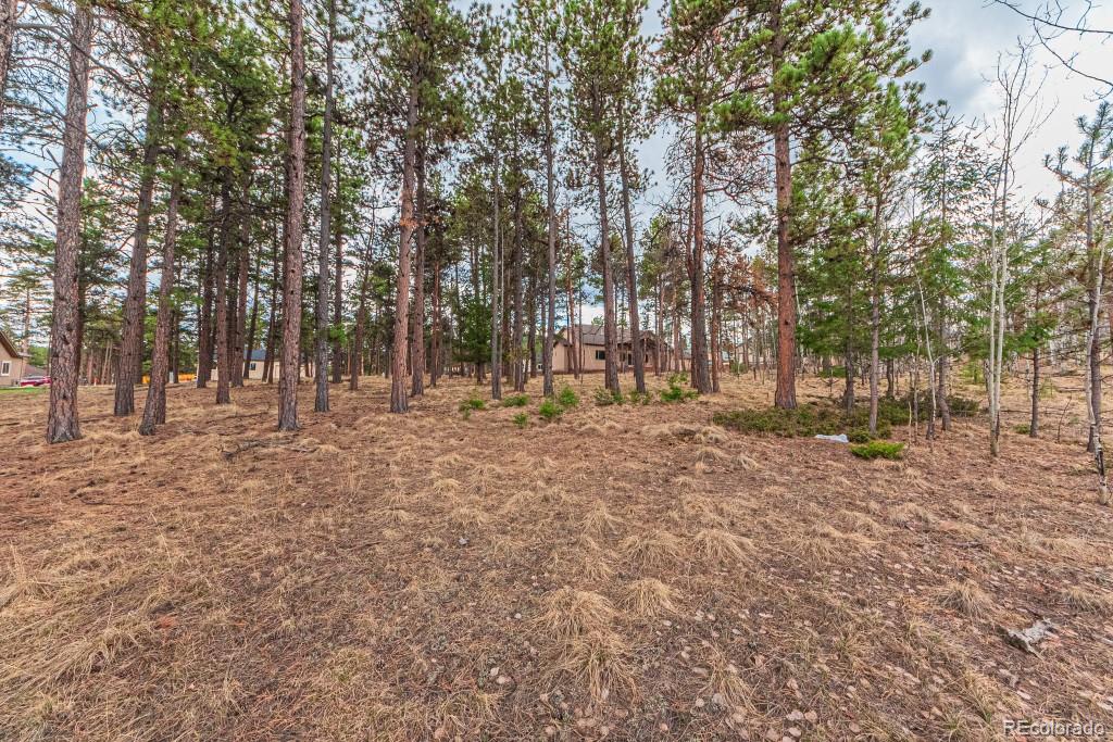 1290 Firestone Drive Woodland Park CO 80863