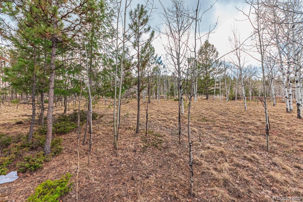 1290 Firestone Drive Woodland Park CO 80863