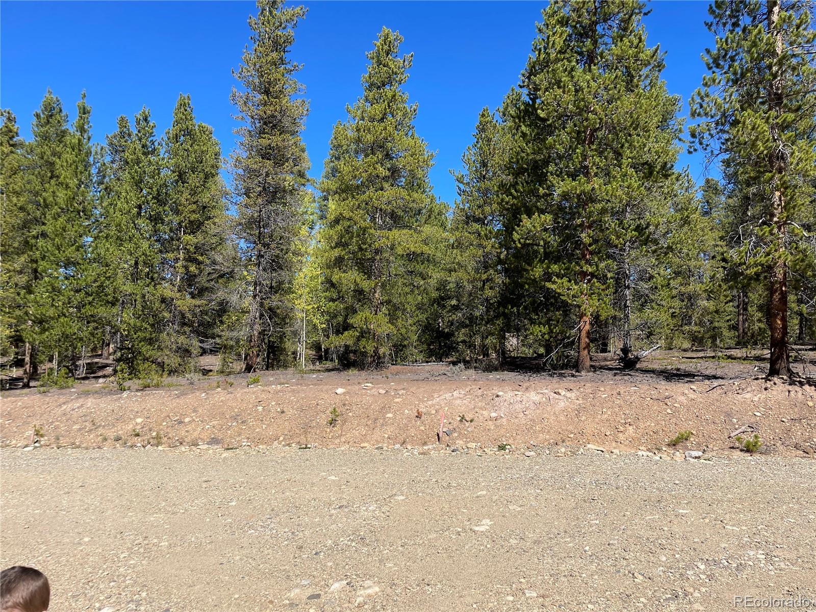 200 Virginia Avenue Leadville CO 80461
