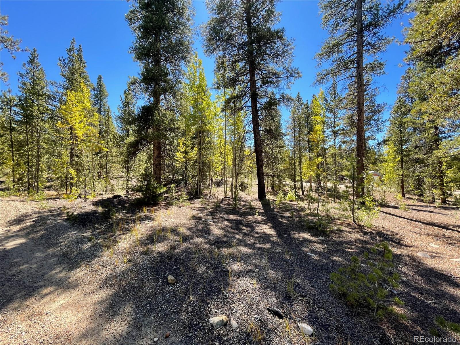 200 Virginia Avenue Leadville CO 80461