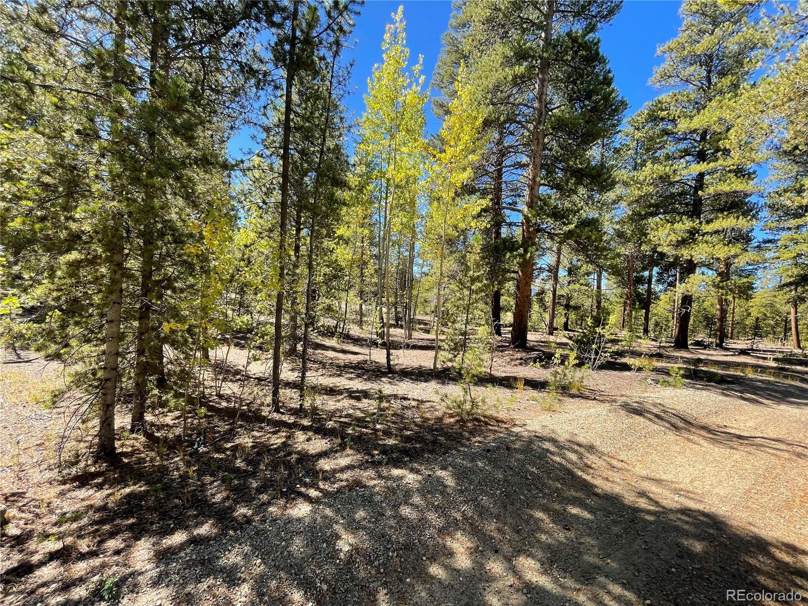 200 Virginia Avenue Leadville CO 80461