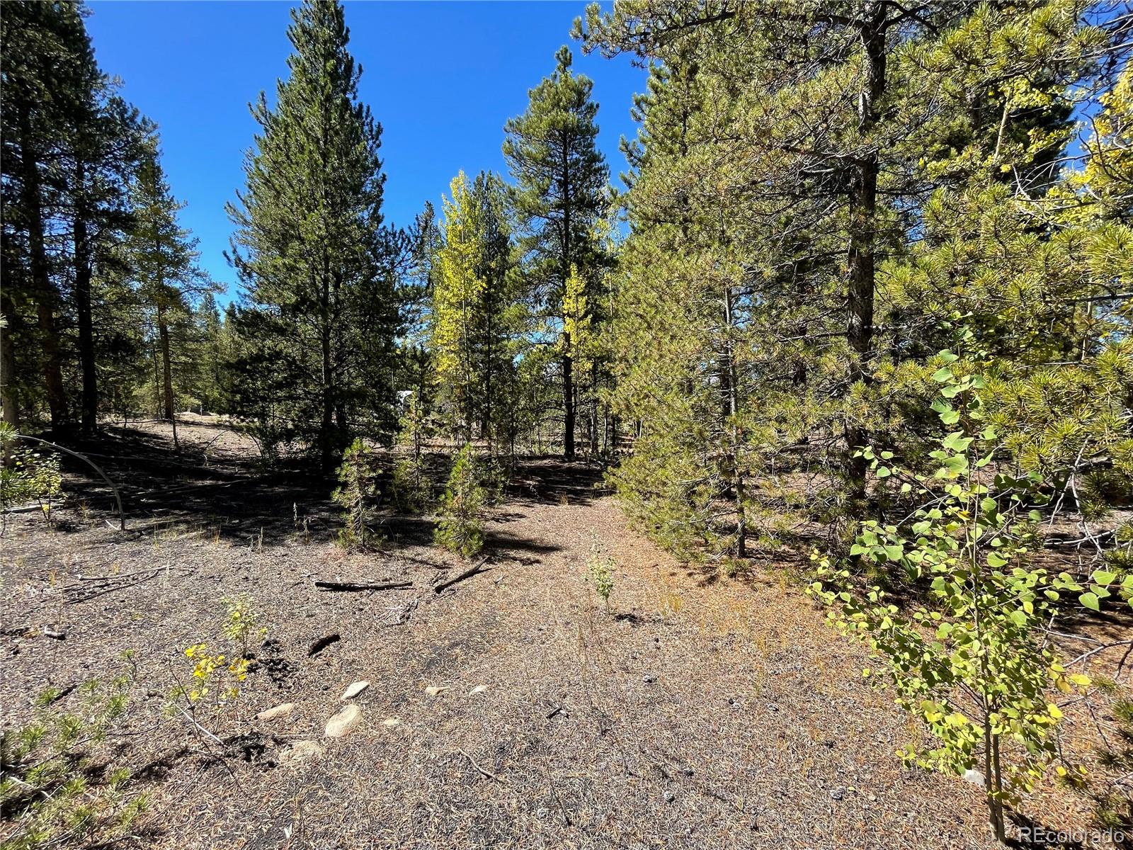 200 Virginia Avenue Leadville CO 80461