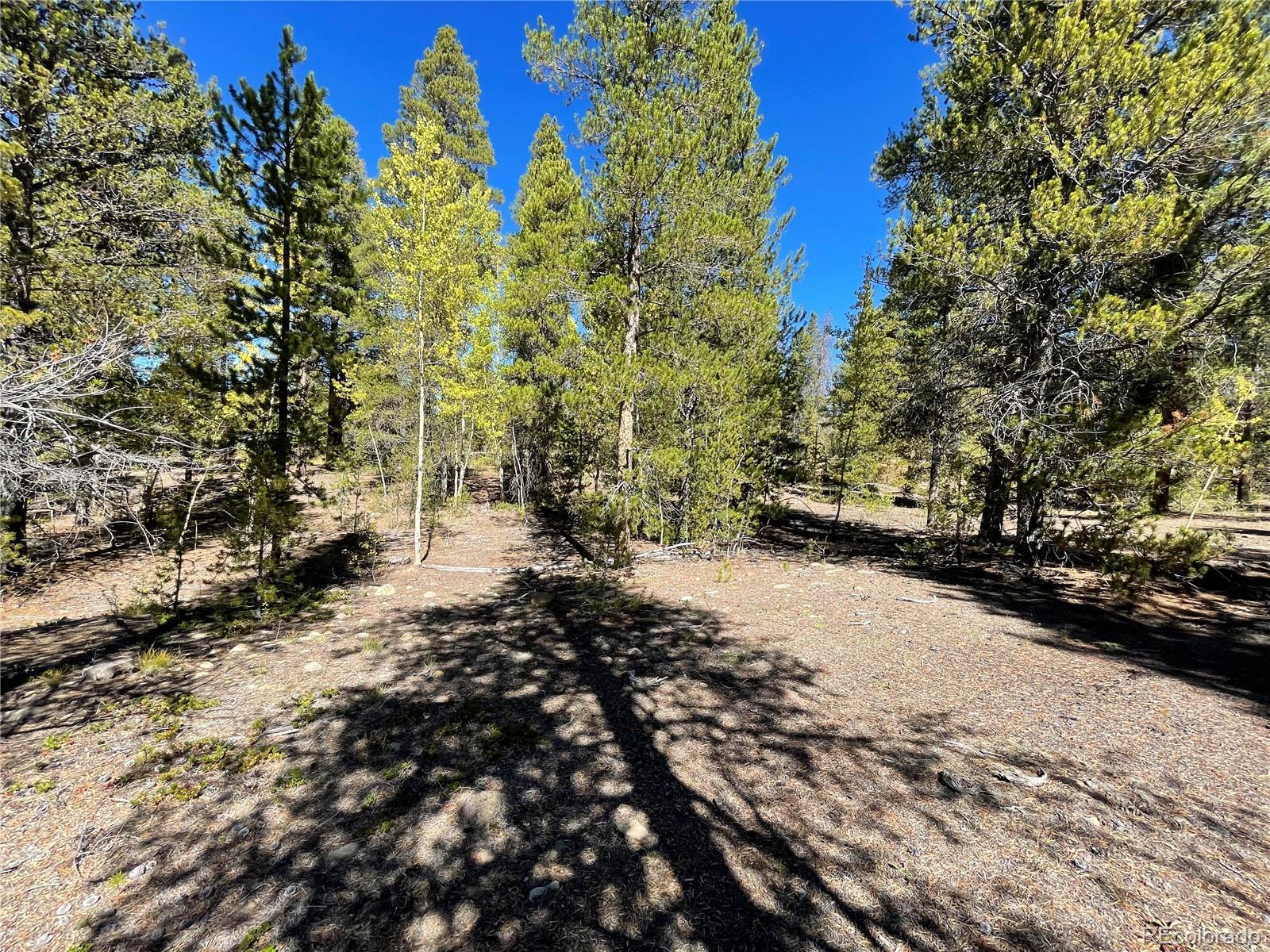 200 Virginia Avenue Leadville CO 80461