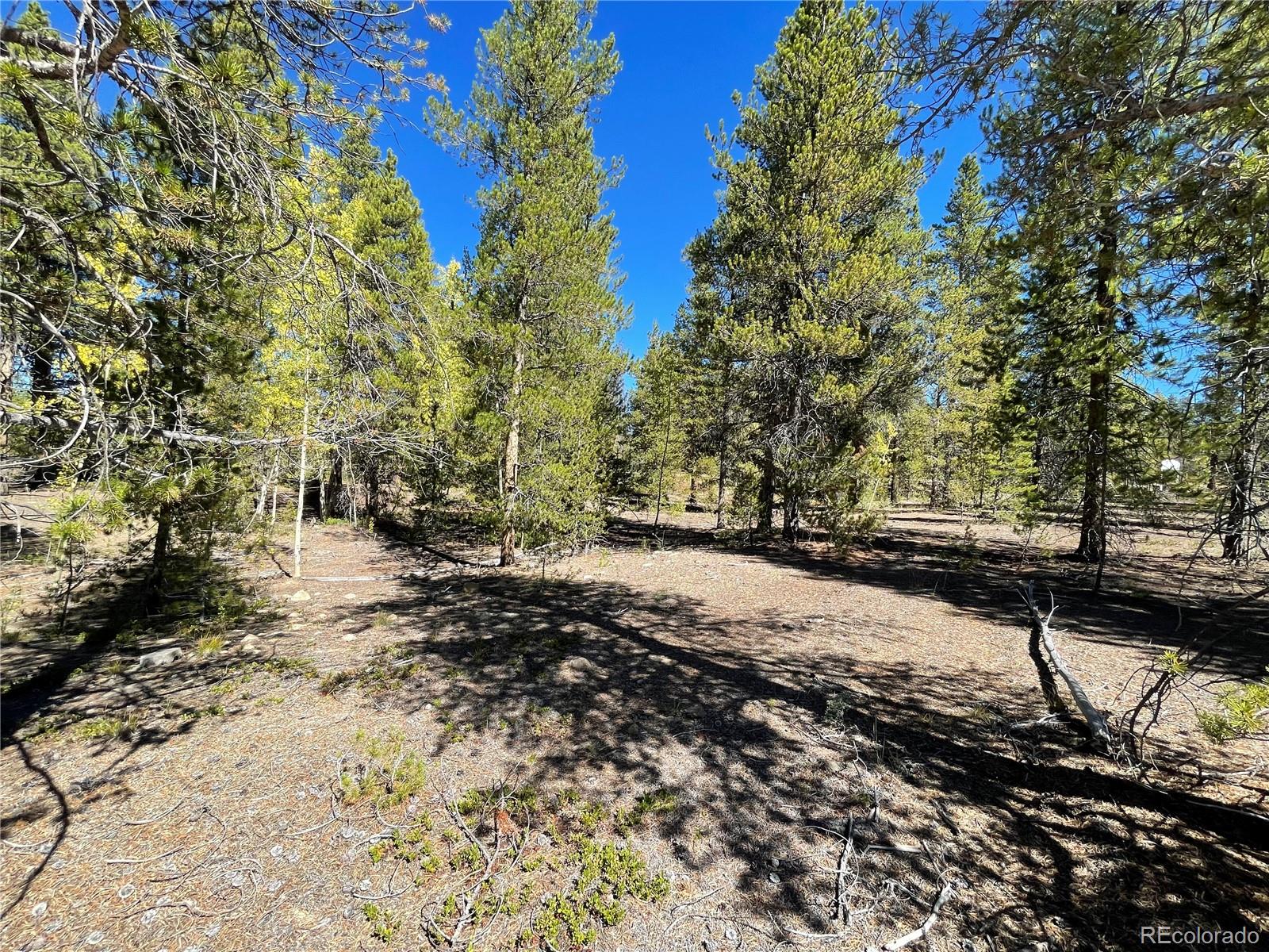 200 Virginia Avenue Leadville CO 80461