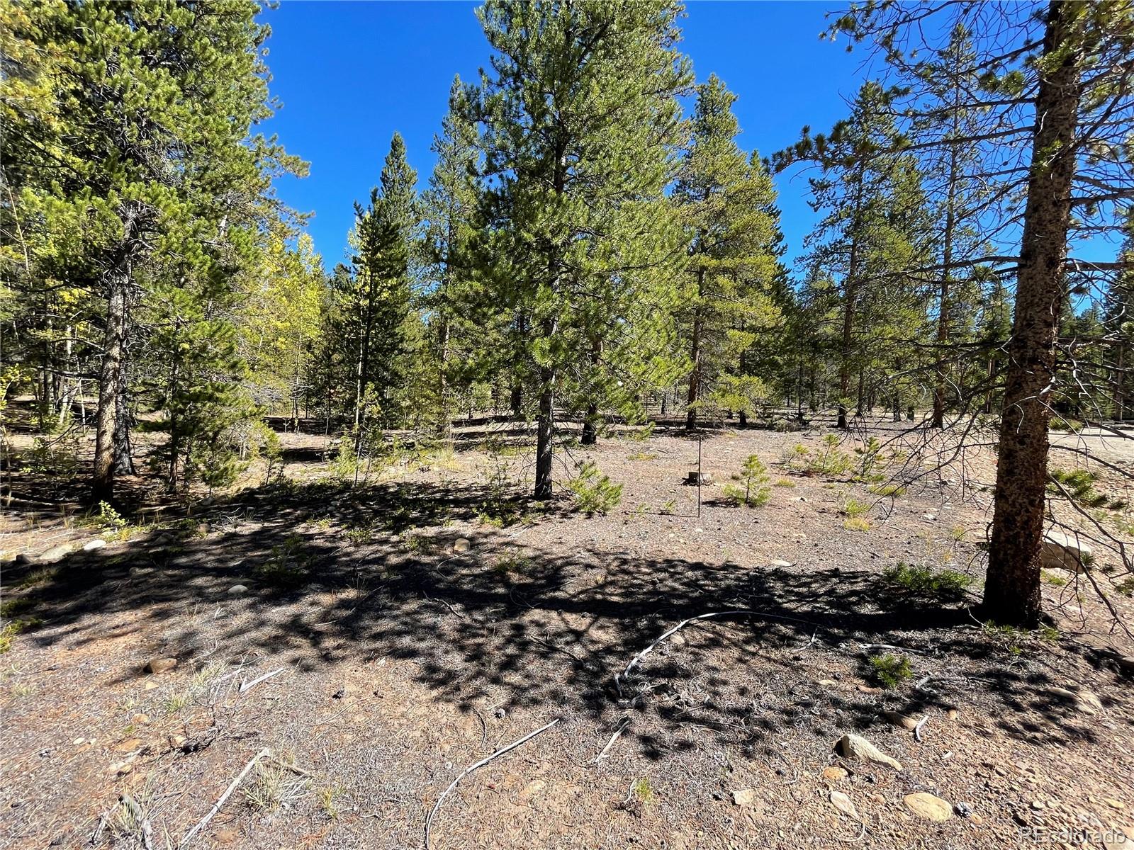 200 Virginia Avenue Leadville CO 80461