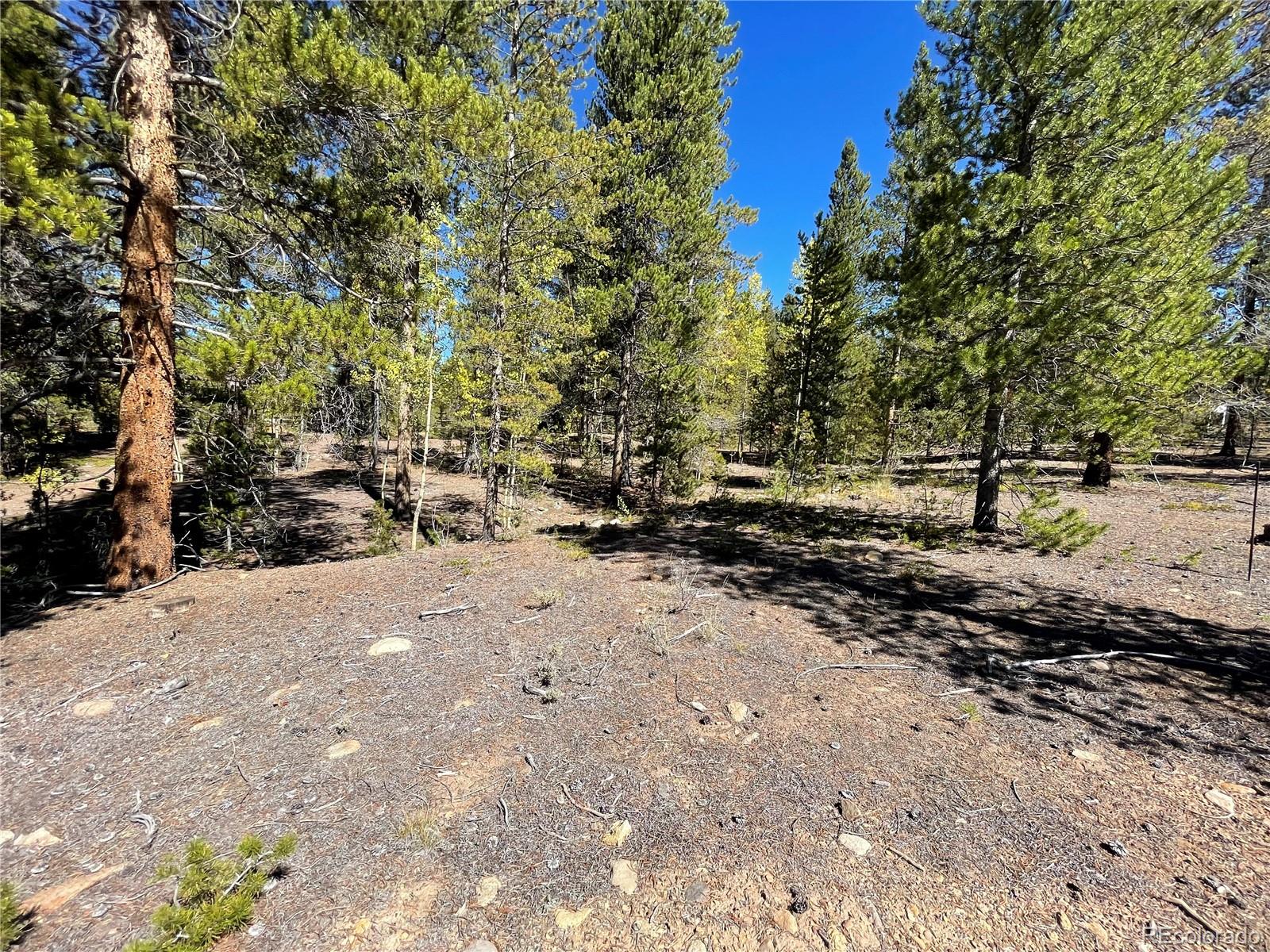 200 Virginia Avenue Leadville CO 80461