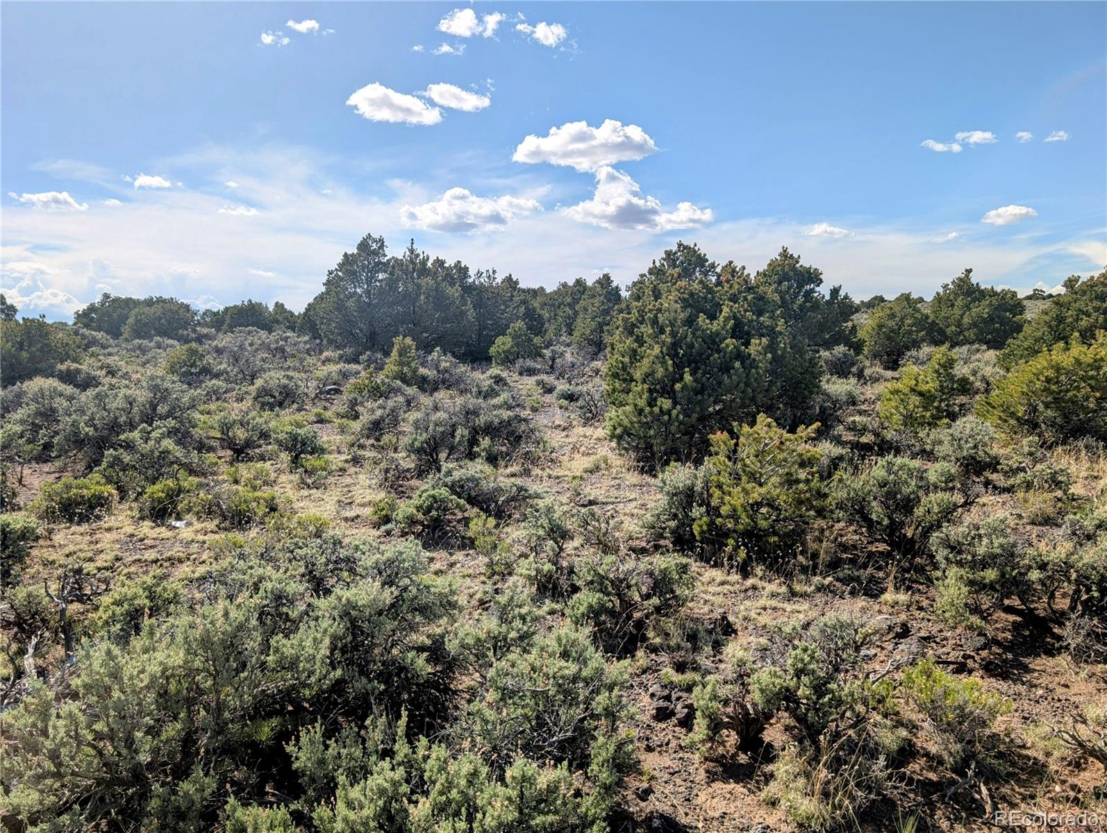 35 Acres Elk Park Road San Luis CO 81152