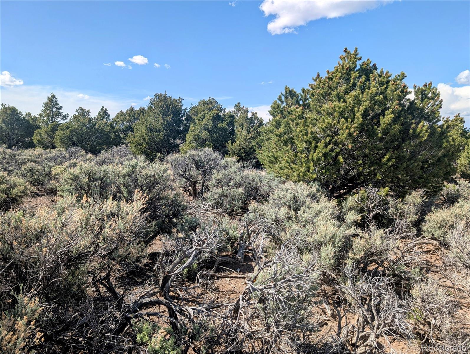 35 Acres Elk Park Road San Luis CO 81152