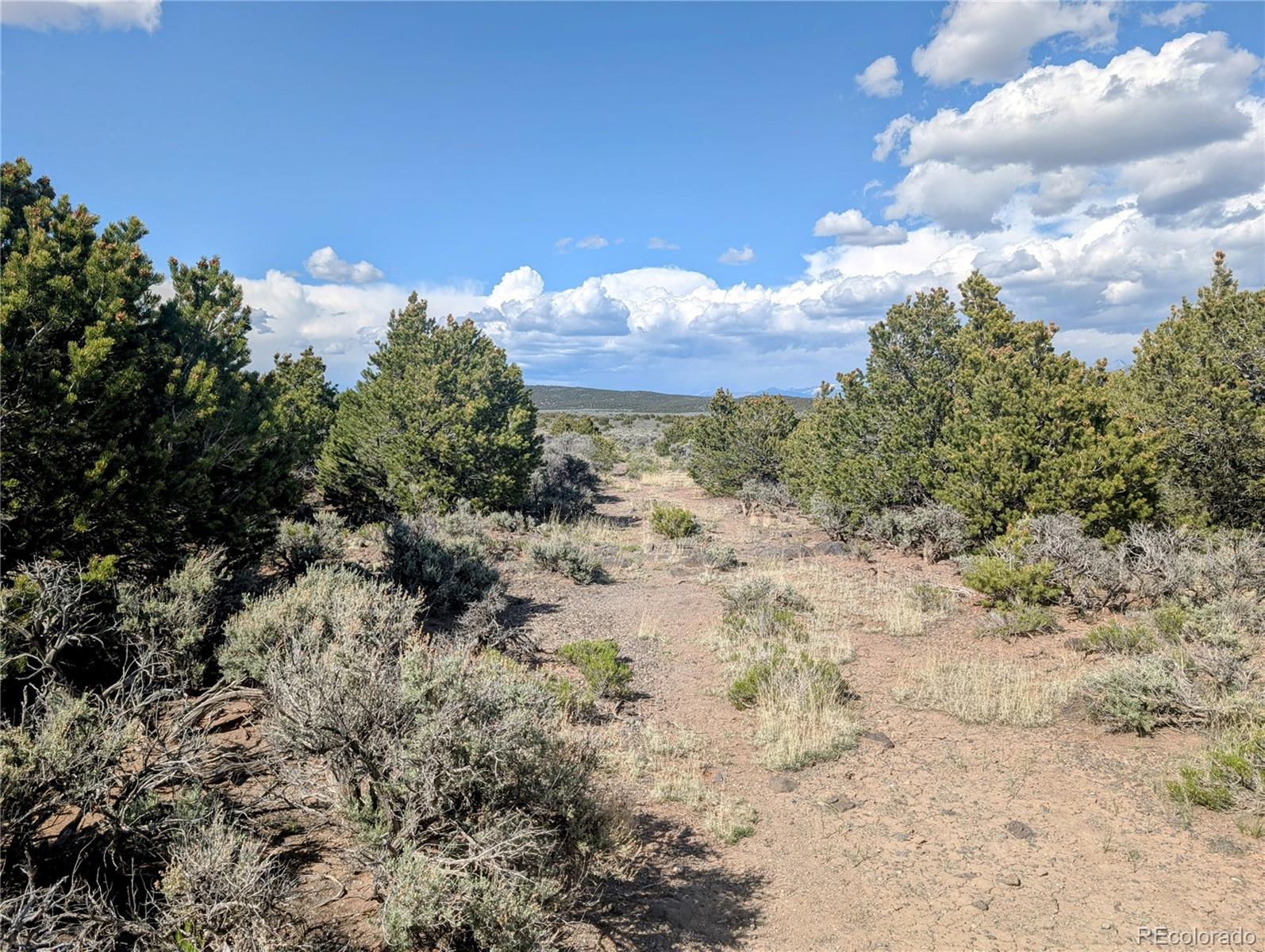 35 Acres Elk Park Road San Luis CO 81152