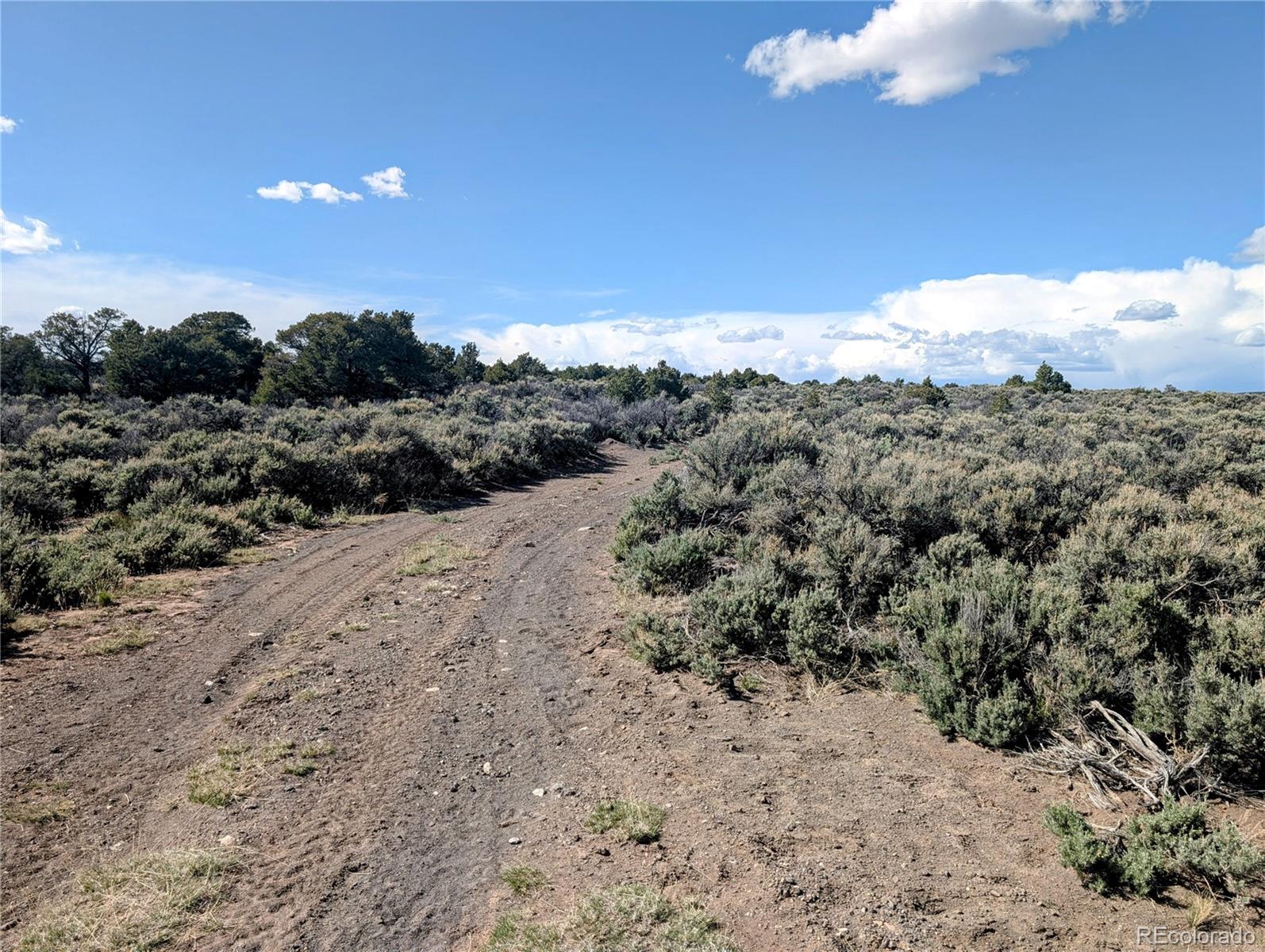 35 Acres Elk Park Road San Luis CO 81152