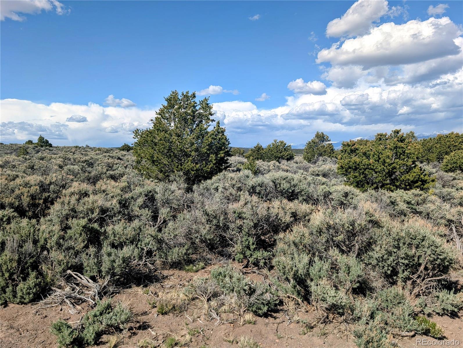 35 Acres Elk Park Road San Luis CO 81152
