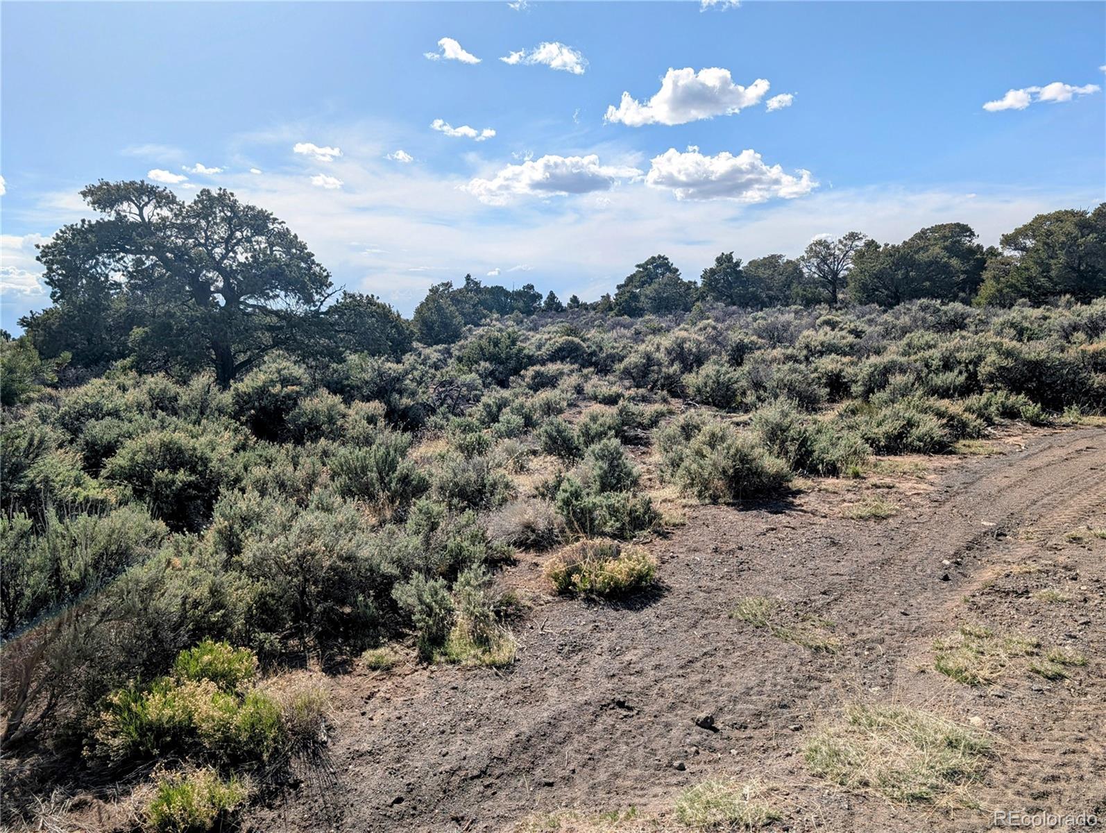 35 Acres Elk Park Road San Luis CO 81152