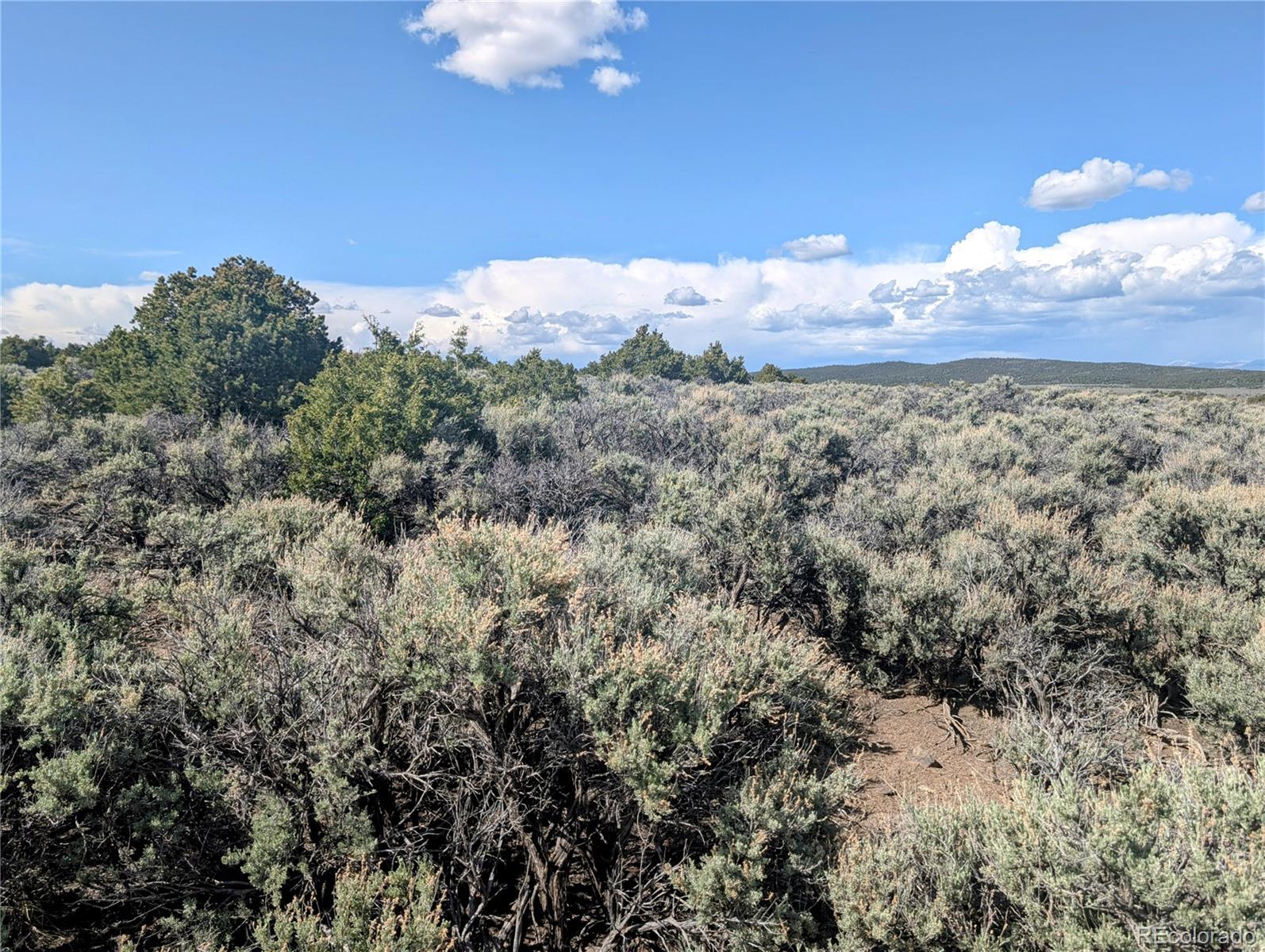 35 Acres Elk Park Road San Luis CO 81152