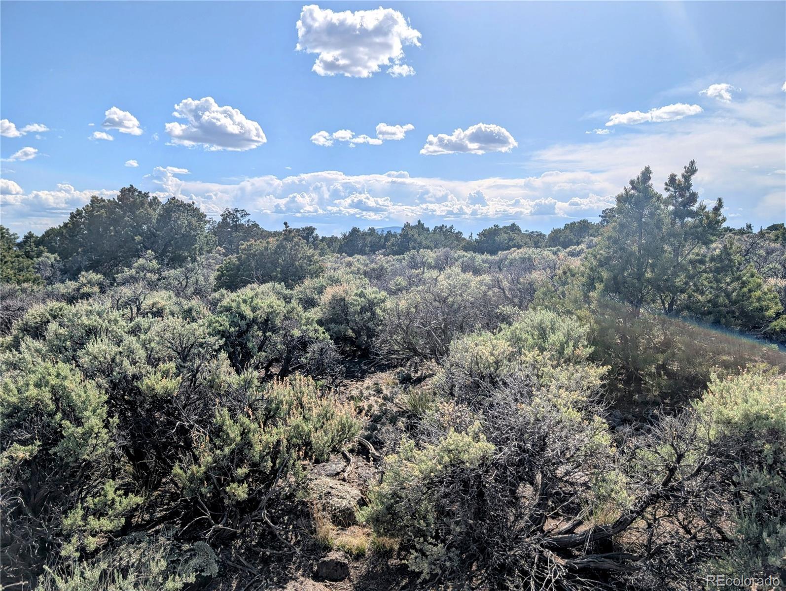 35 Acres Elk Park Road San Luis CO 81152