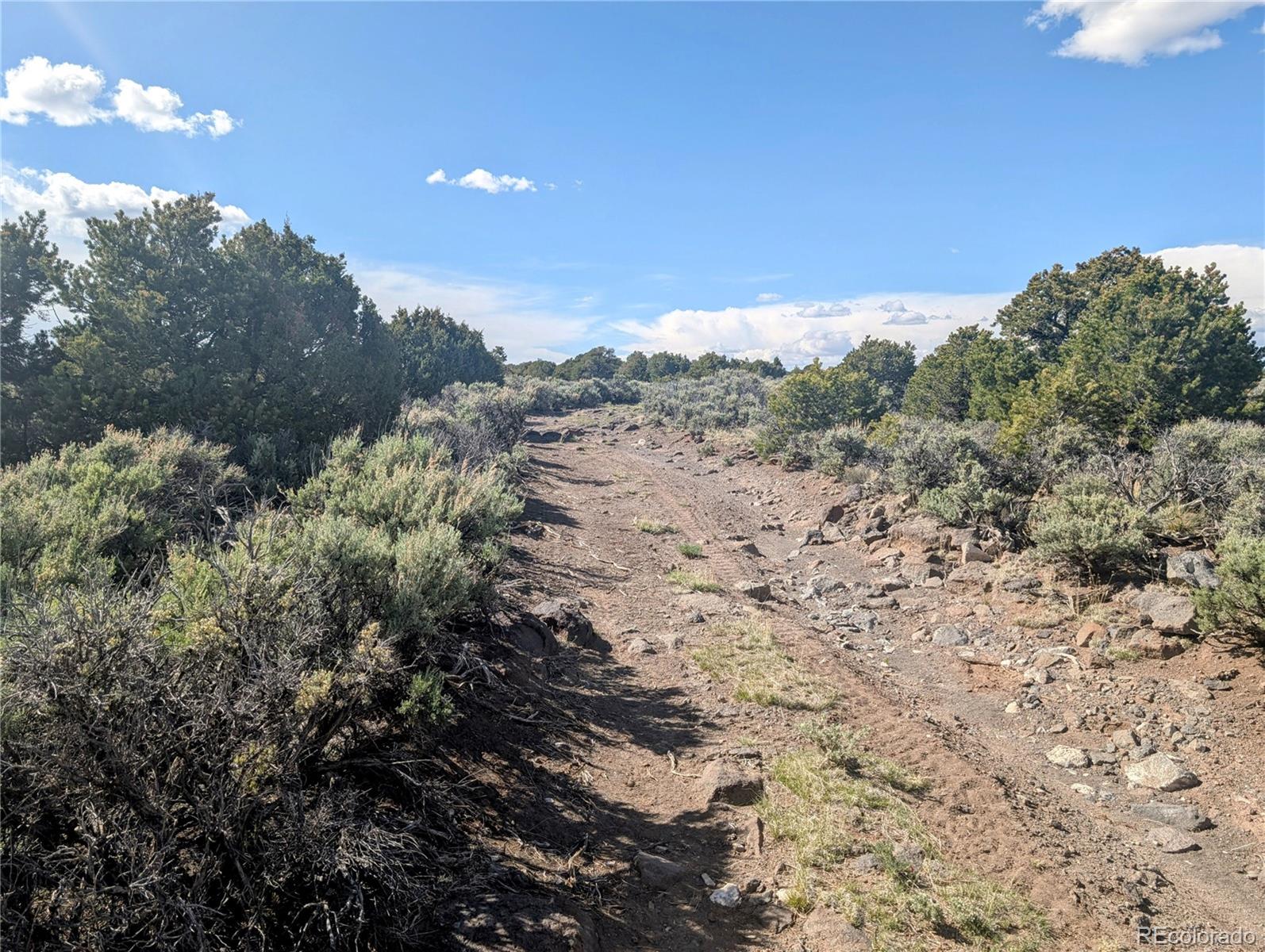 35 Acres Elk Park Road San Luis CO 81152