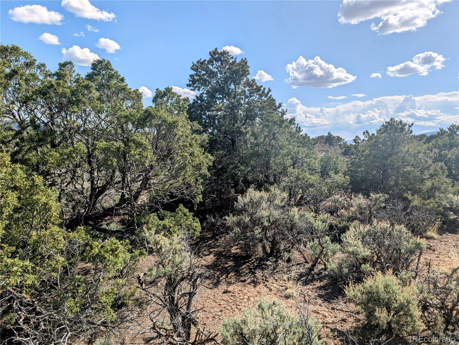 35 Acres Elk Park Road San Luis CO 81152