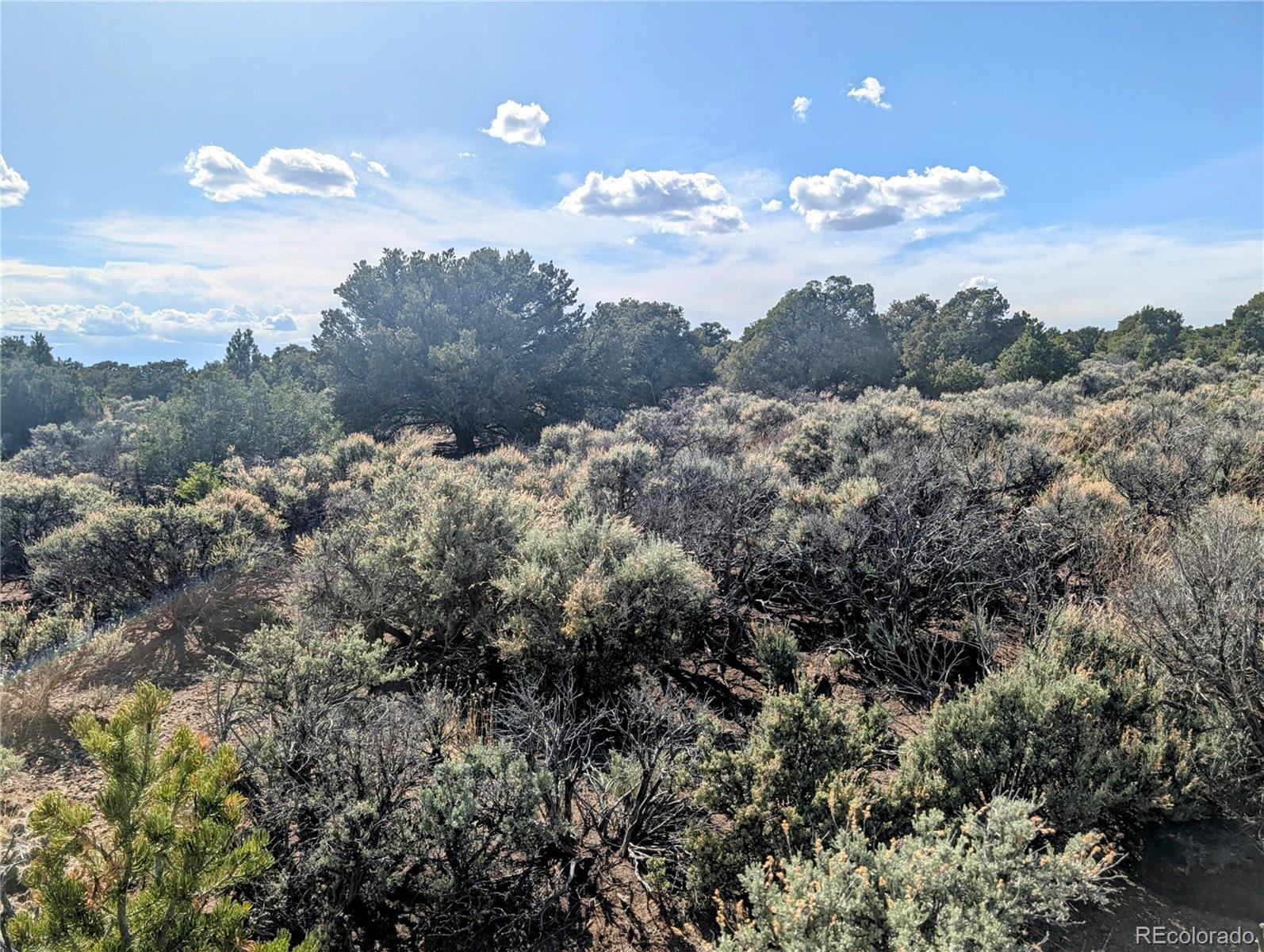 35 Acres Elk Park Road San Luis CO 81152
