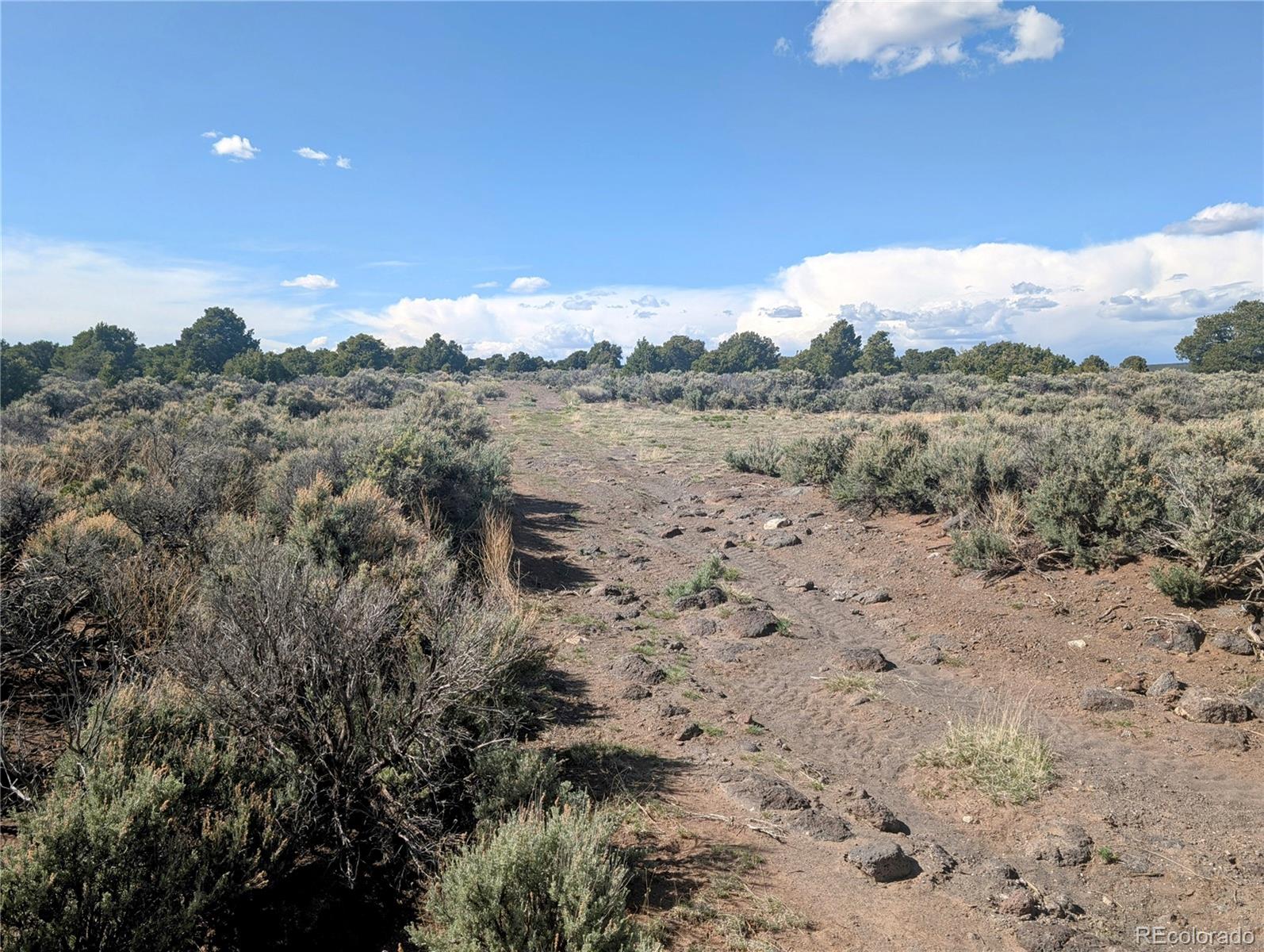 35 Acres Elk Park Road San Luis CO 81152