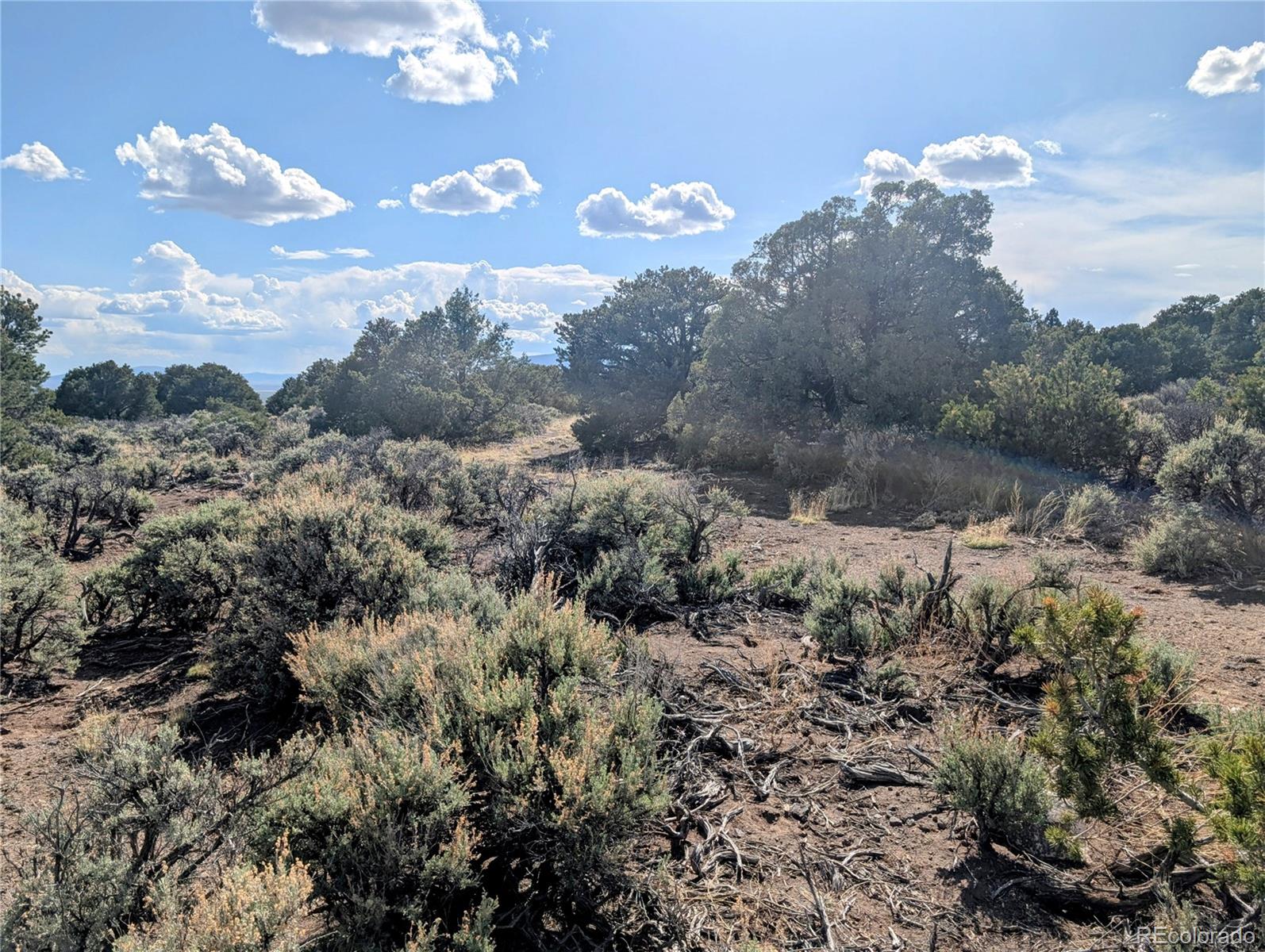 35 Acres Elk Park Road San Luis CO 81152