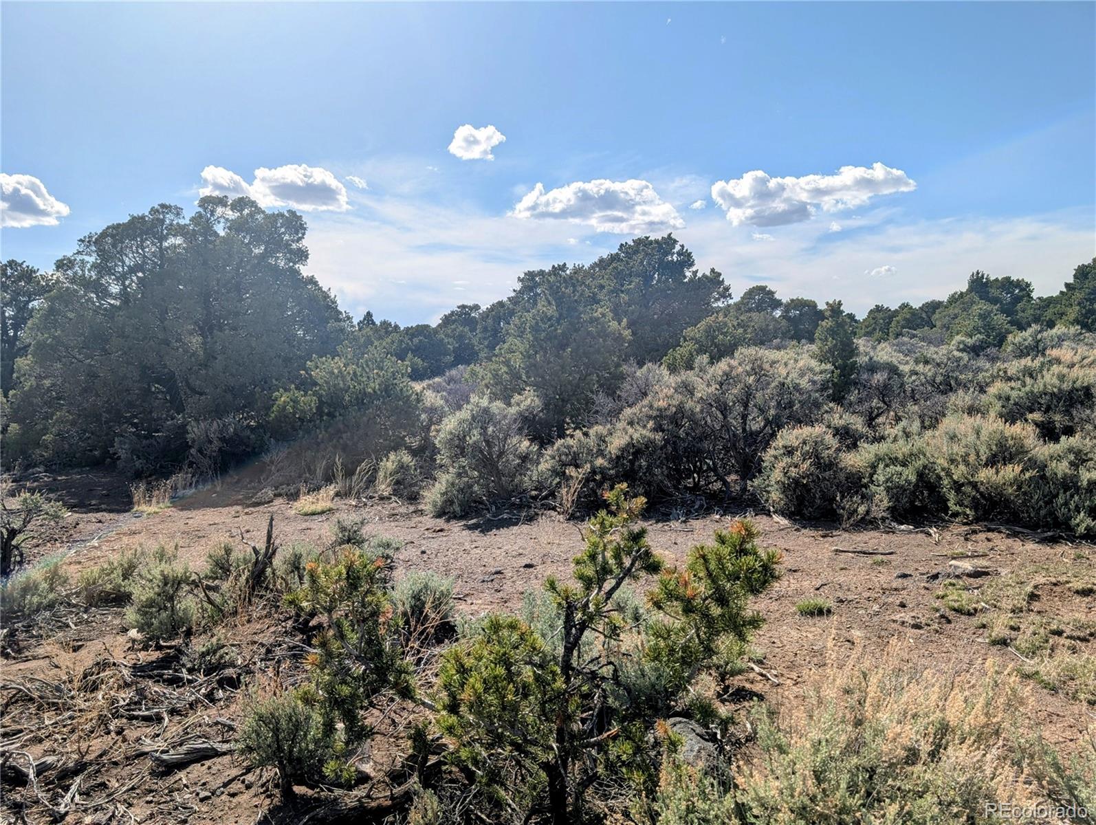 35 Acres Elk Park Road San Luis CO 81152