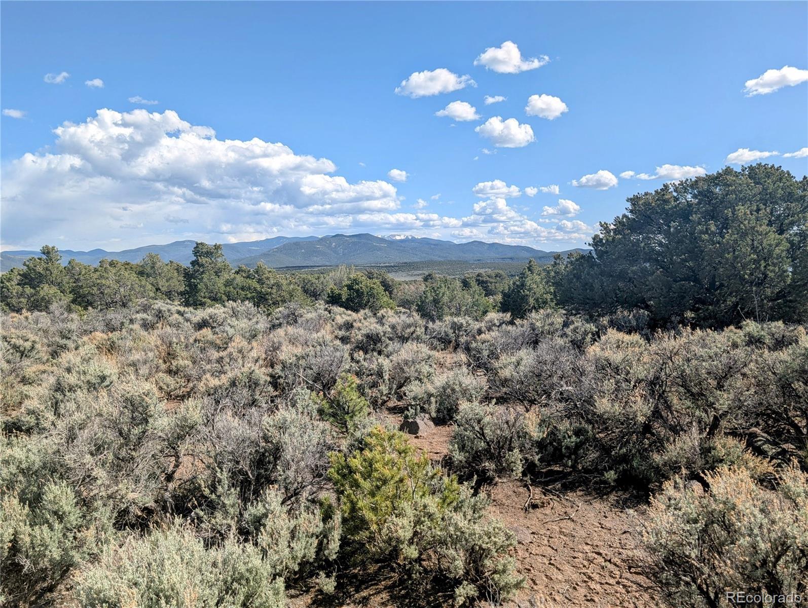 35 Acres Elk Park Road San Luis CO 81152