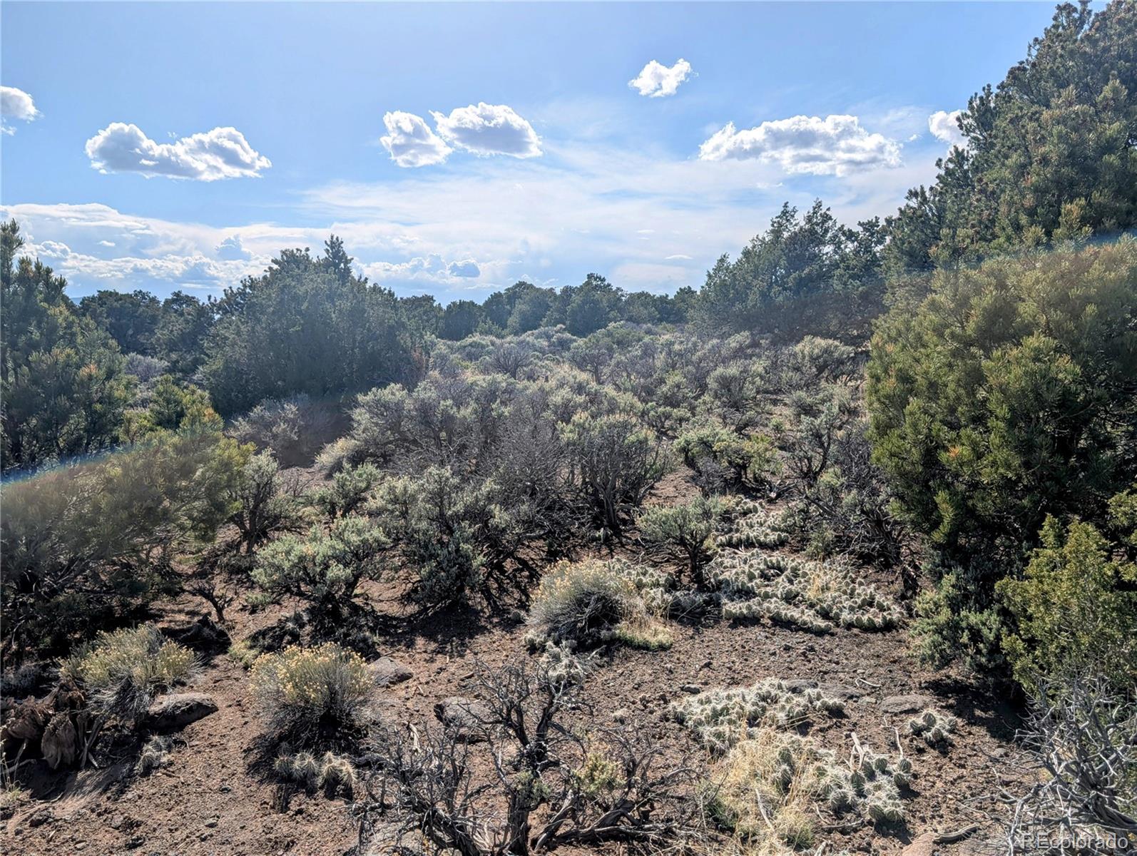 35 Acres Elk Park Road San Luis CO 81152