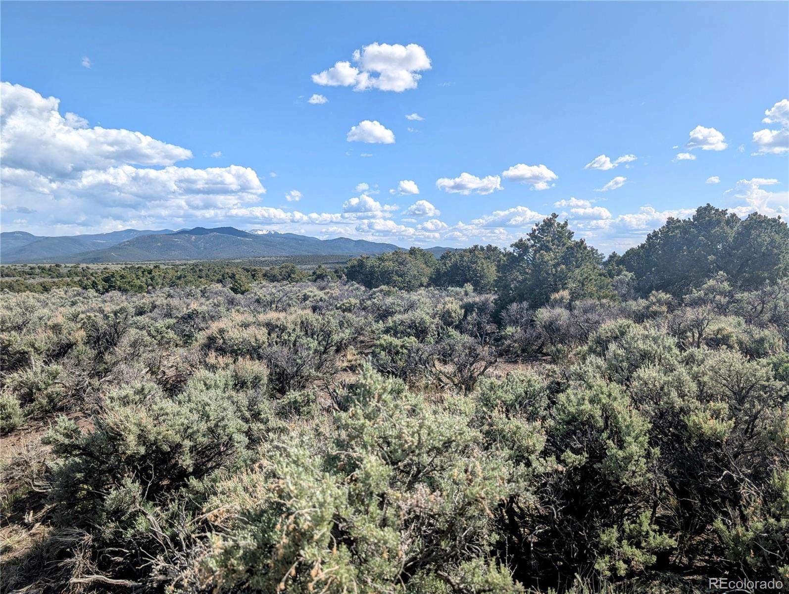 35 Acres Elk Park Road San Luis CO 81152
