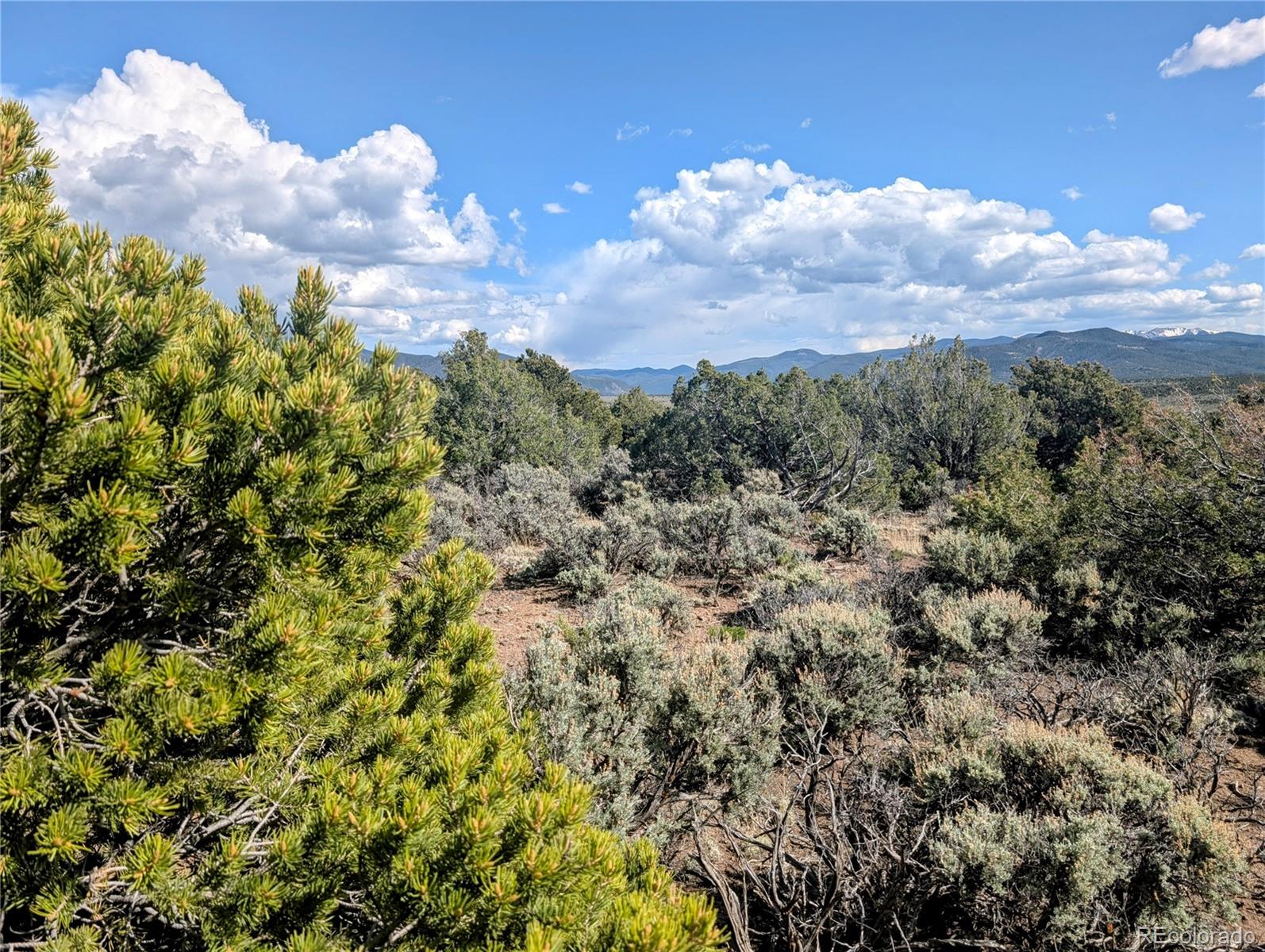 35 Acres Elk Park Road San Luis CO 81152