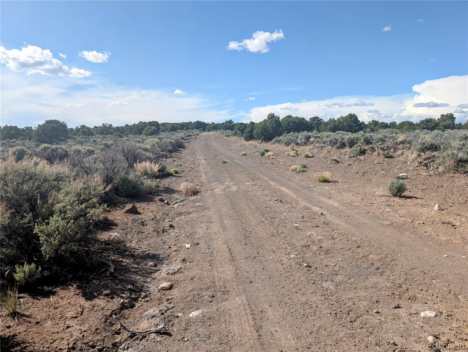 35 Acres Elk Park Road San Luis CO 81152