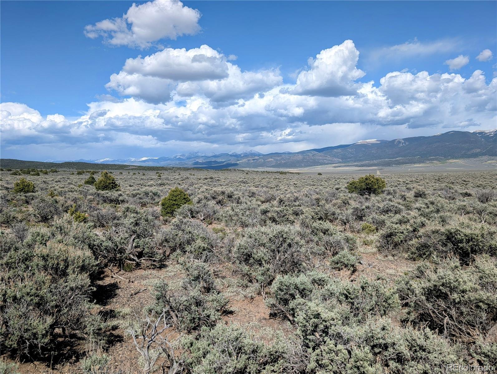 35 Acres Elk Park Road San Luis CO 81152