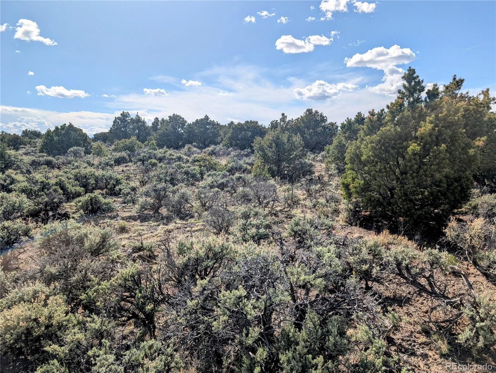 35 Acres Elk Park Road San Luis CO 81152