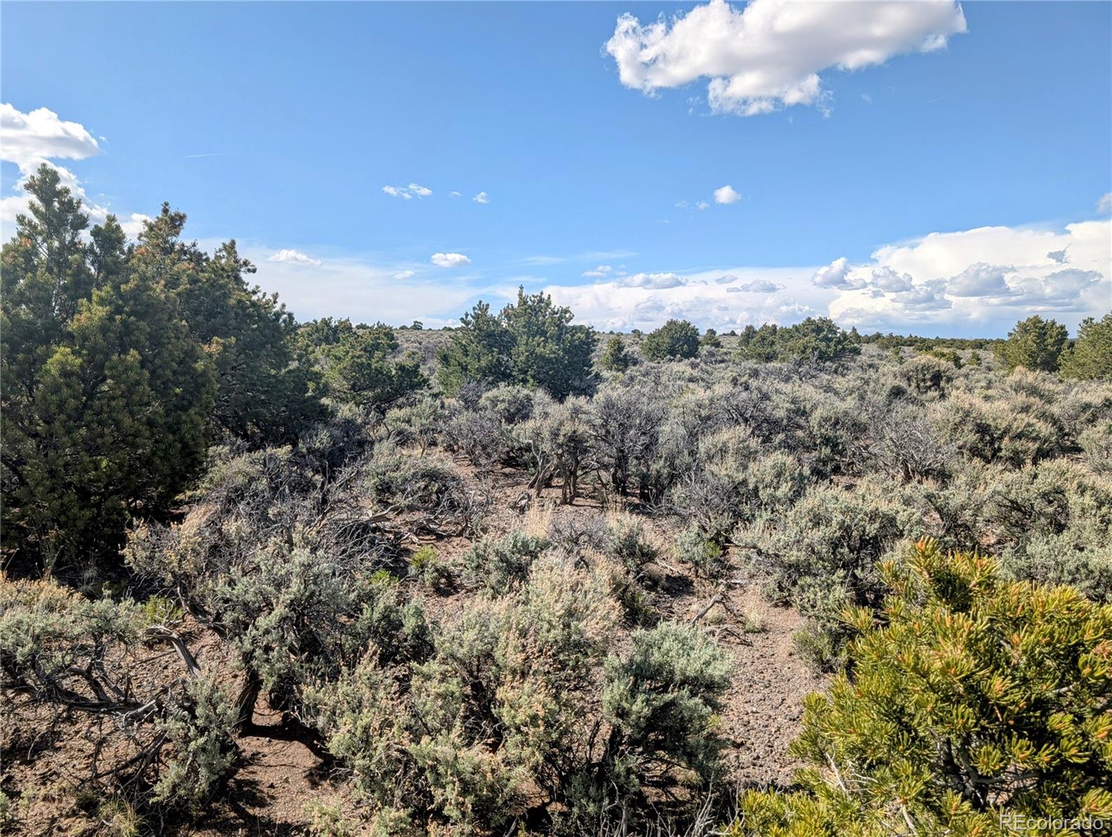 35 Acres Elk Park Road San Luis CO 81152