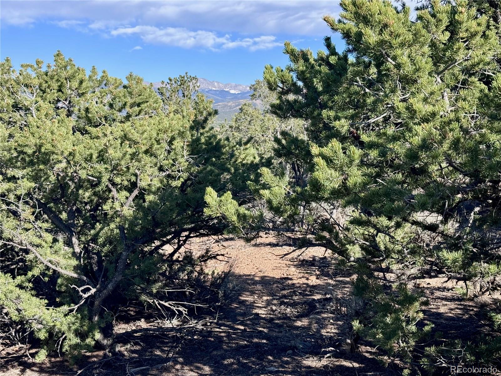 Lot 3292 Geneen Road Fort Garland CO 81133