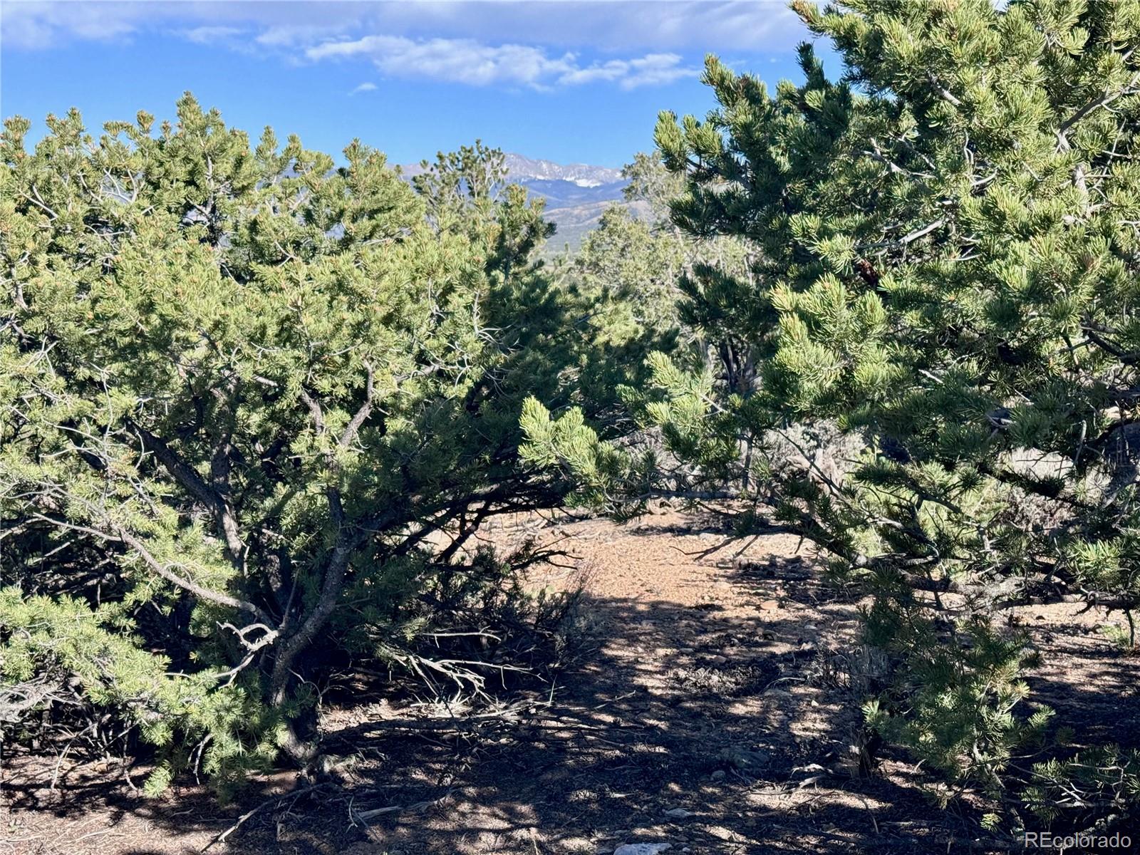 Lot 3292 Geneen Road Fort Garland CO 81133