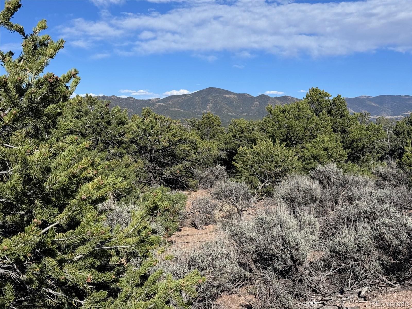 Lot 3292 Geneen Road Fort Garland CO 81133