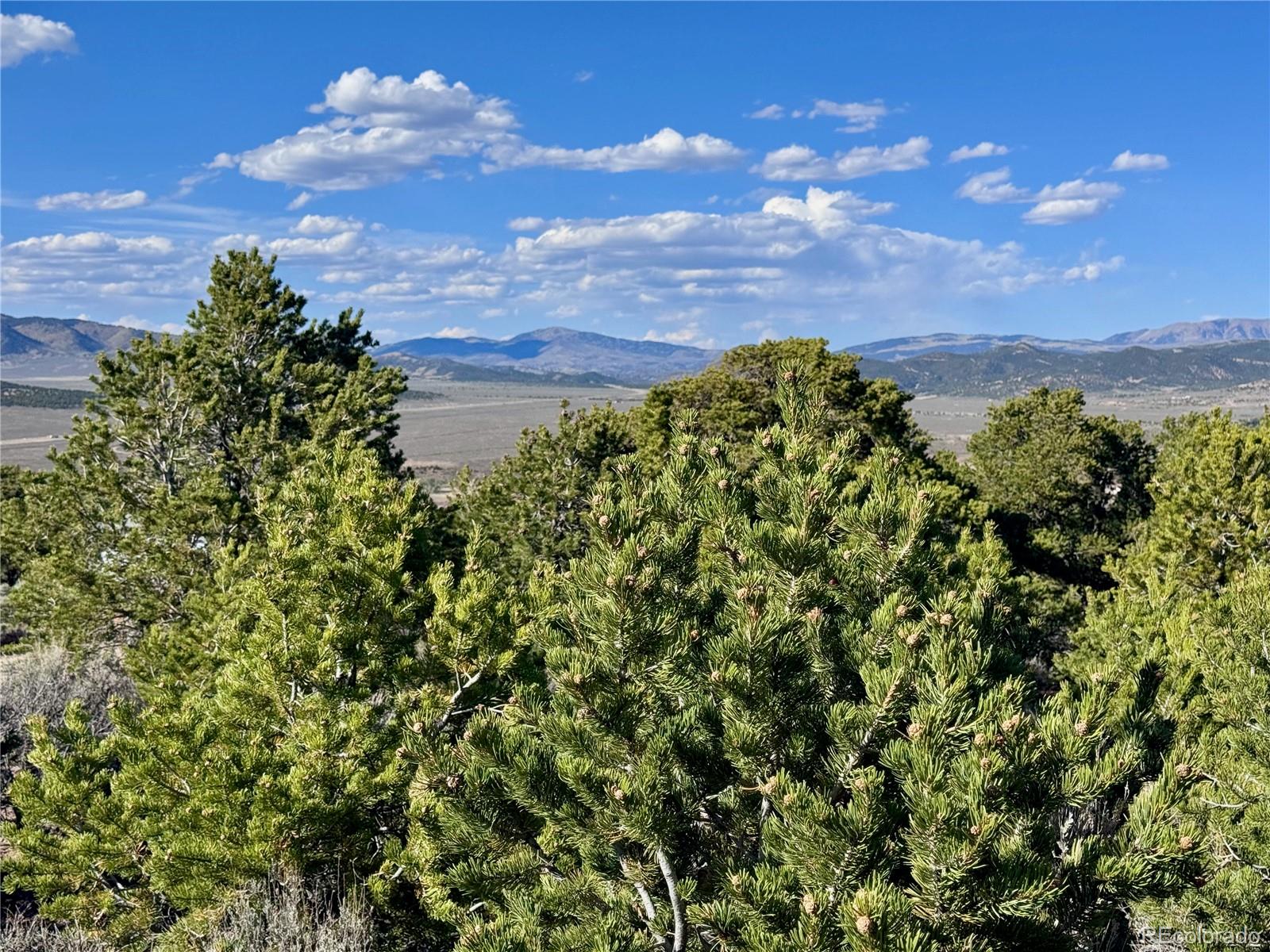 Lot 3292 Geneen Road Fort Garland CO 81133